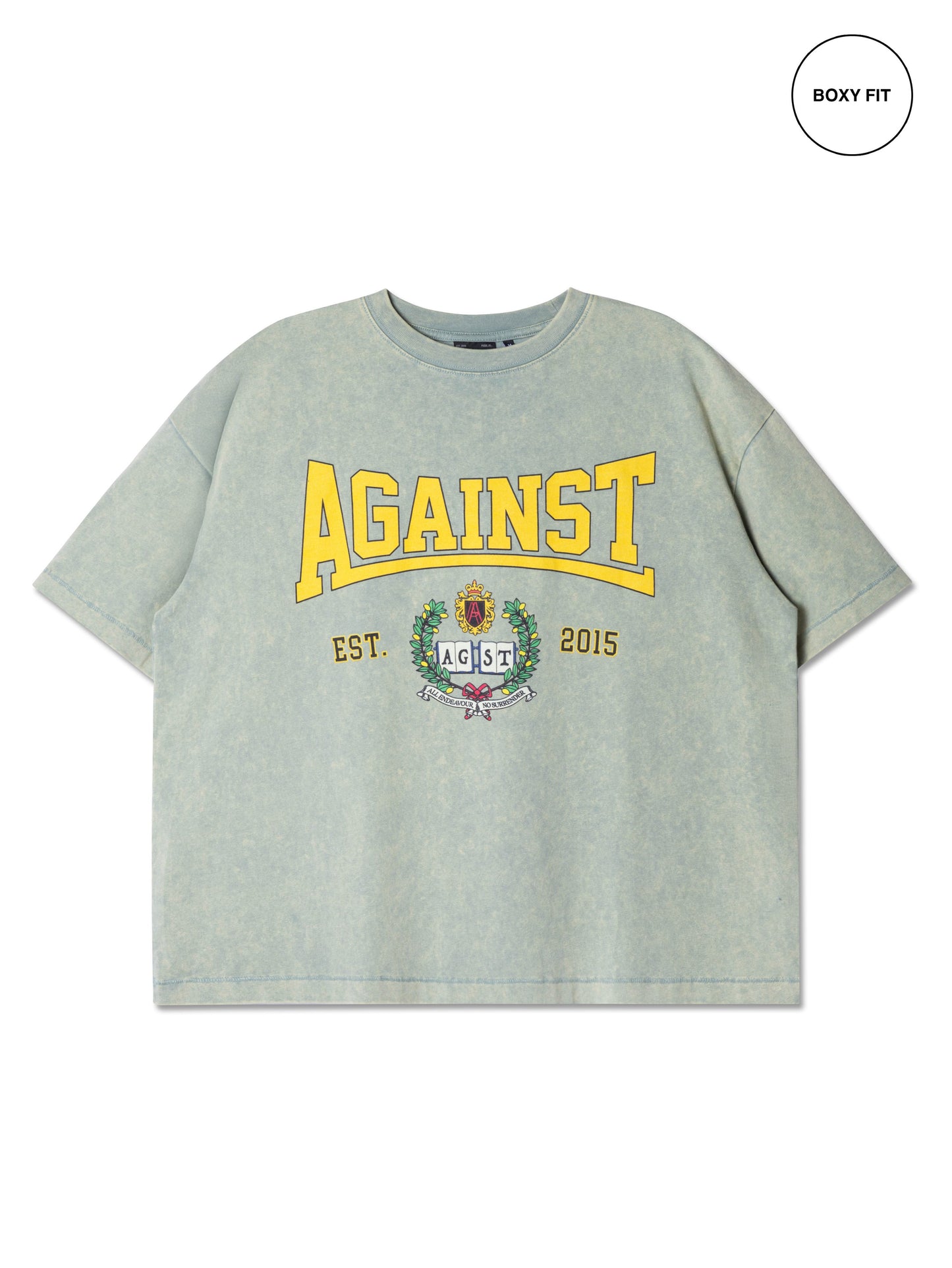 VARSITY WASHED BOXY TEE SAGE - BEV C multi label store