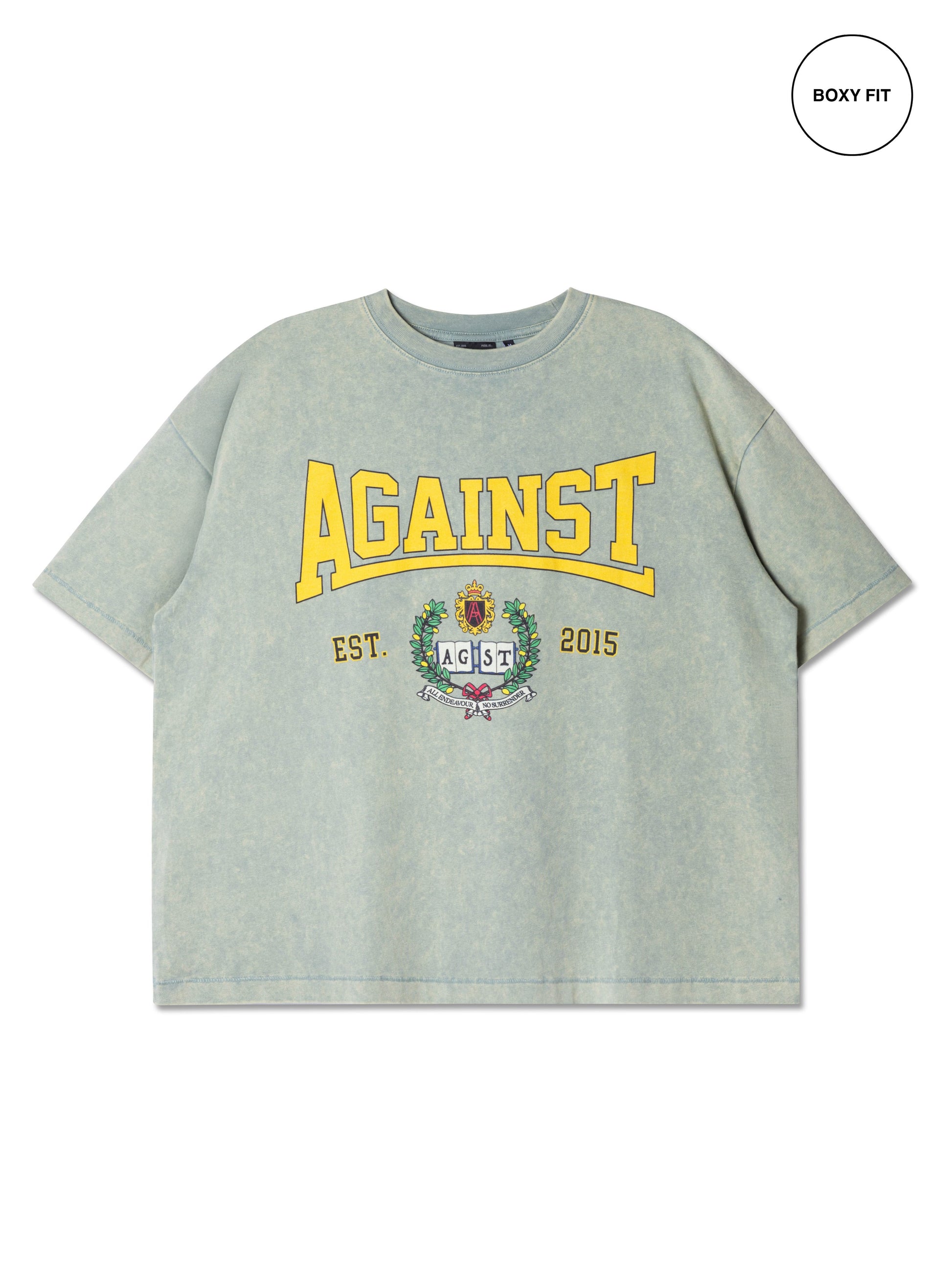 VARSITY WASHED BOXY TEE SAGE - BEV C multi label store